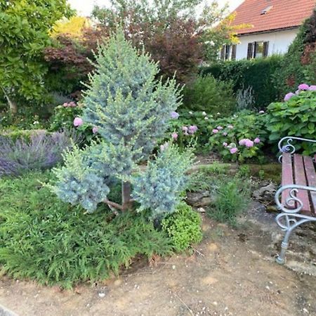 Apartma Jozica In Toncek Sveti Jurij ob Scavnici Extérieur photo