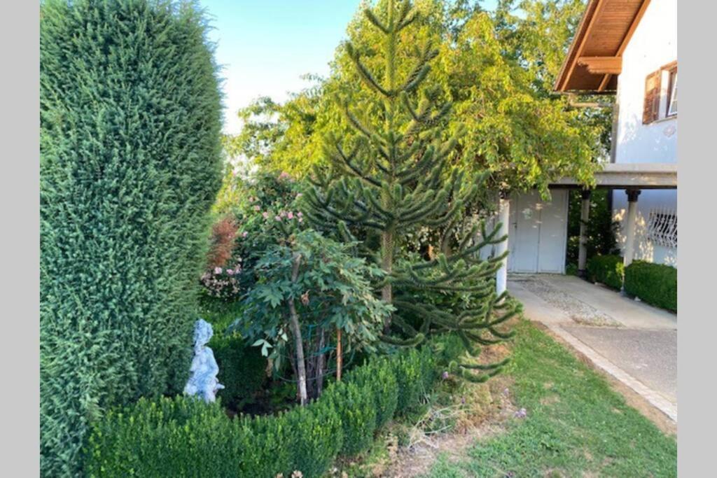 Apartma Jozica In Toncek Sveti Jurij ob Scavnici Extérieur photo
